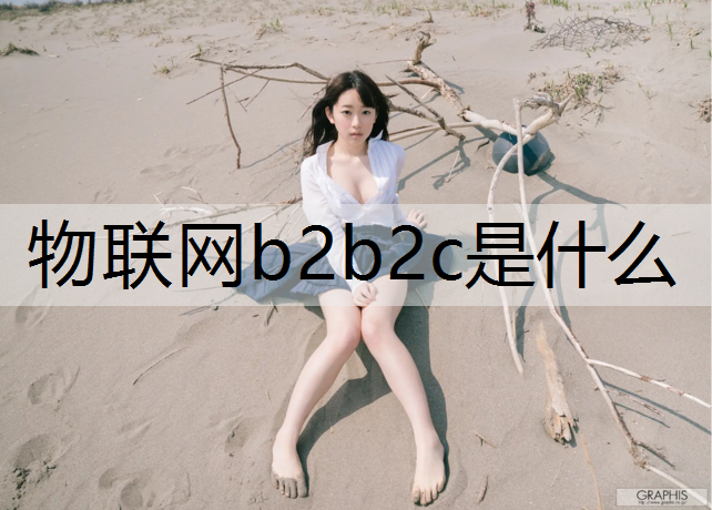 物联网b2b2c是什么